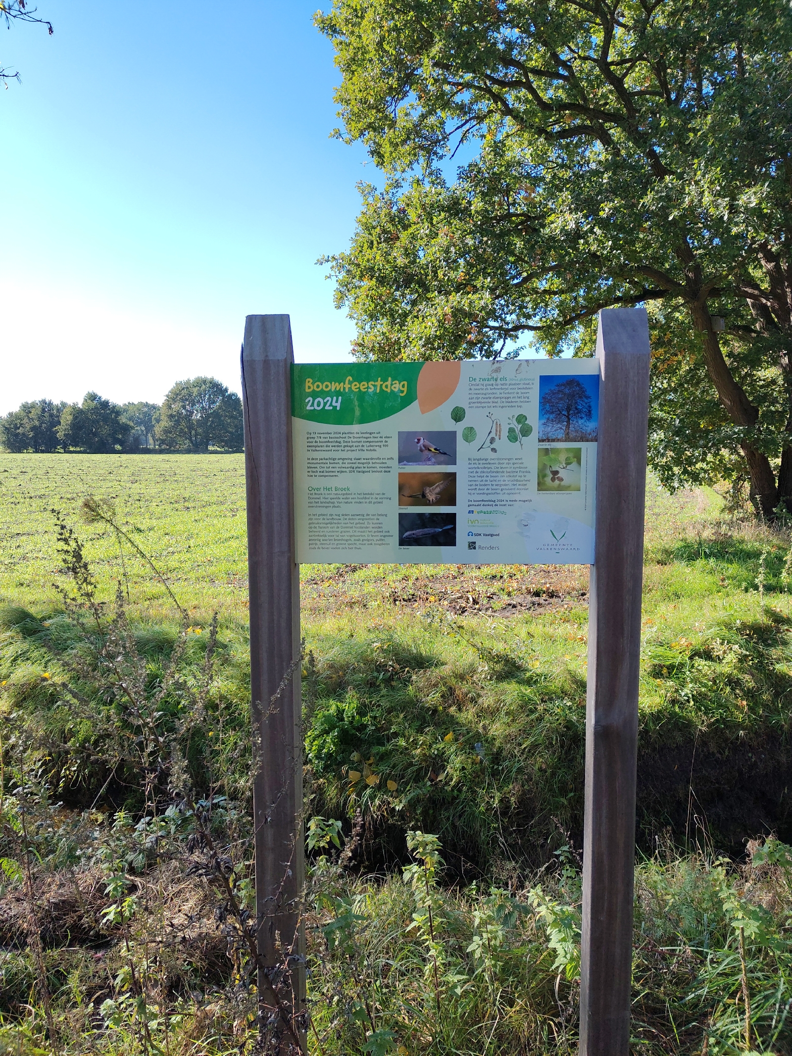 <a href='/hi/jeroen' class='caption'>» jeroen 12 October 2026 11:56 trail running </a>